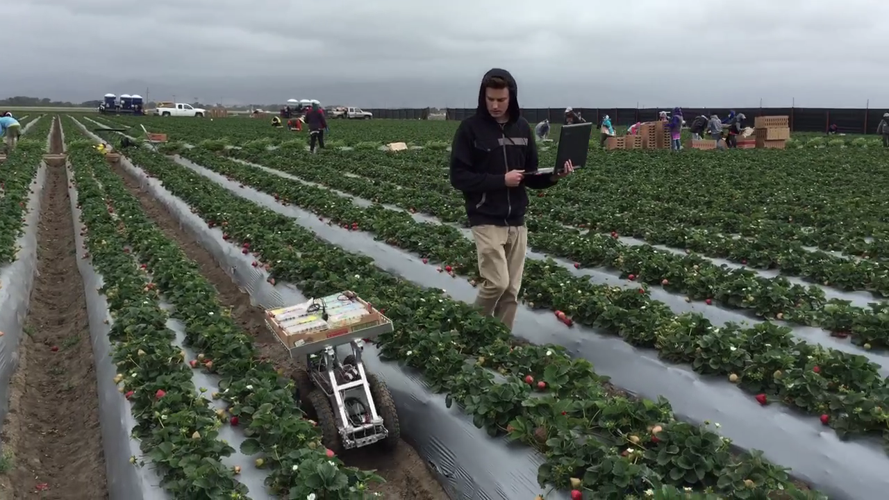 FRAILbot Strawberry Field