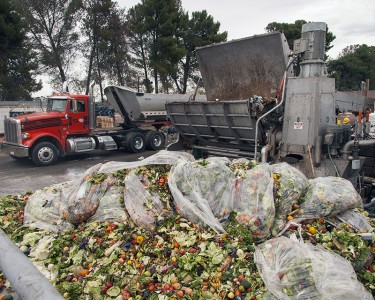 Biodigester