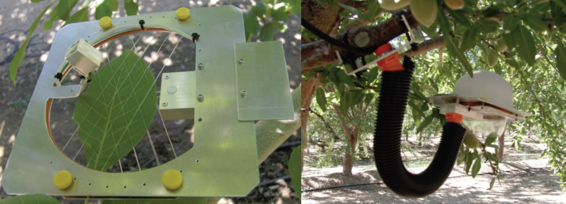 UC Davis Agircultural and Natural Resources Engineering Leaf Monitor Biological and Agricultural Engineering