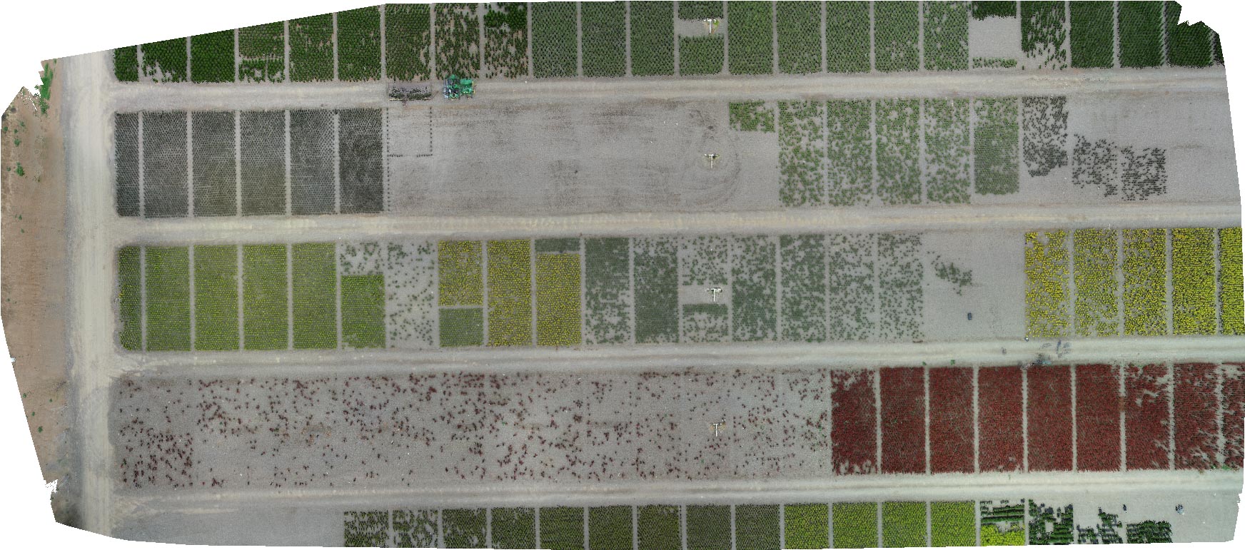 Orthomosaic Preview of Drone Imaging UC Davis Biological and Agricultural Engineering