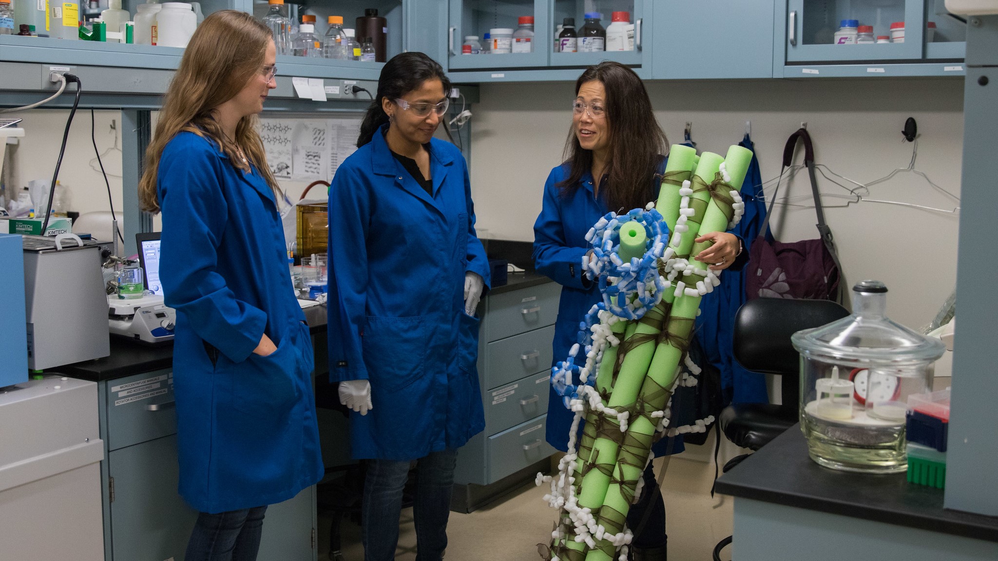 uc davis biological agricultural engineering associate professor tina jeoh bioactives