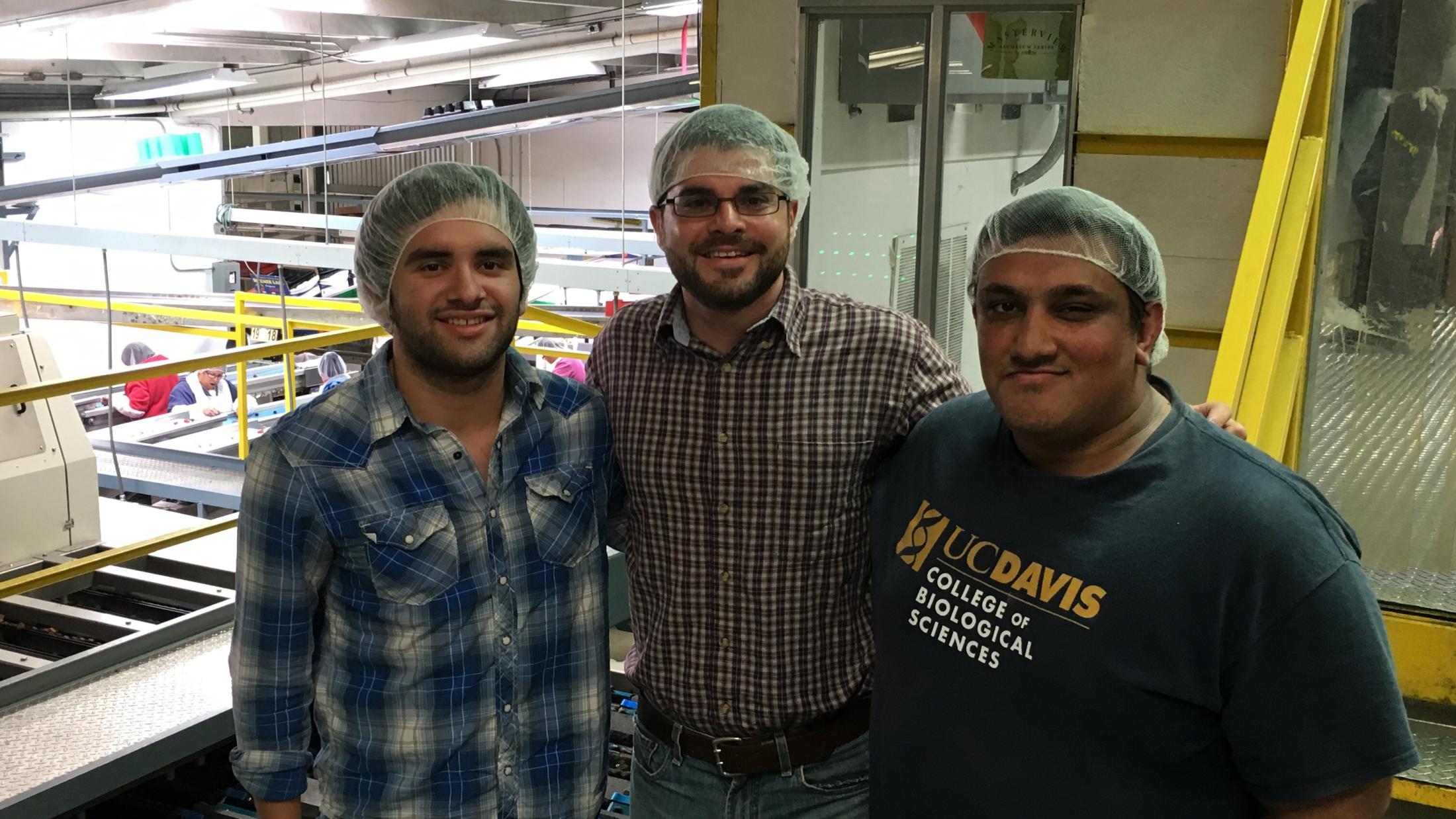 uc davis biological agricultural engineering postharvest donis gonzalez