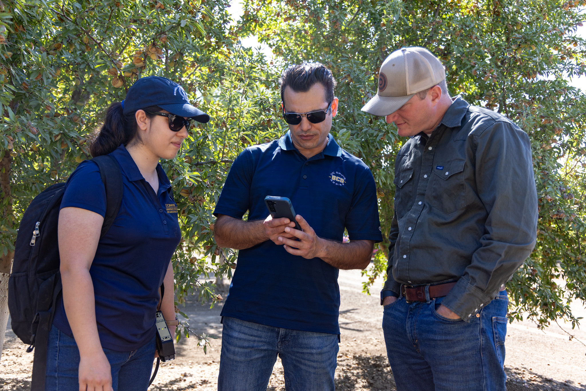 Farajpoor and Alireza Pourreza, assistant professor of cooperative extension in biological and agricultural engineering, show the real-time spectrometry data to Geoff Klein, irrigation manager at Bullseye Farms.