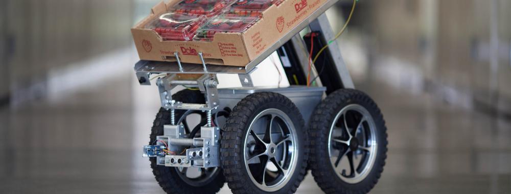 FRAIL-Bot Strawberry Harvester