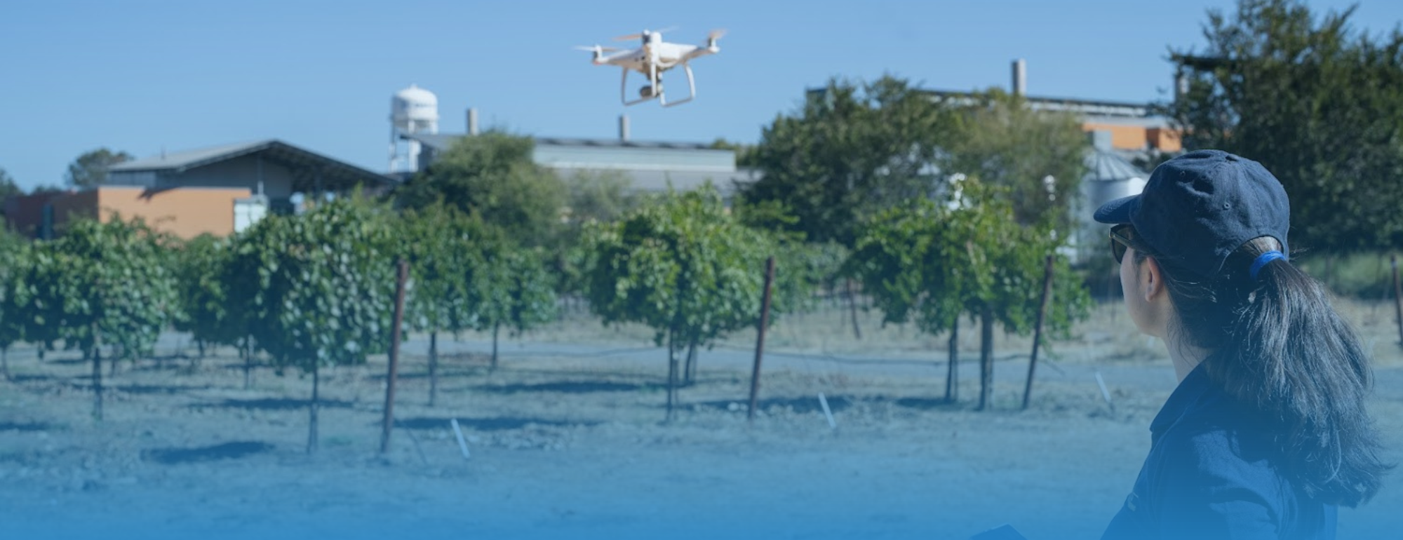 A woman watching a drone flying over crops with a blue gradient