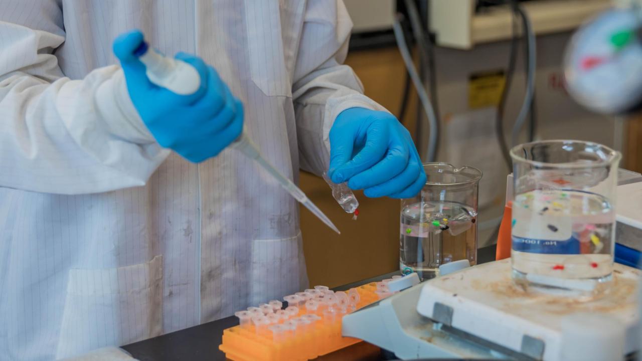 Who are Biological Systems Engineers? Biological and Agricultural