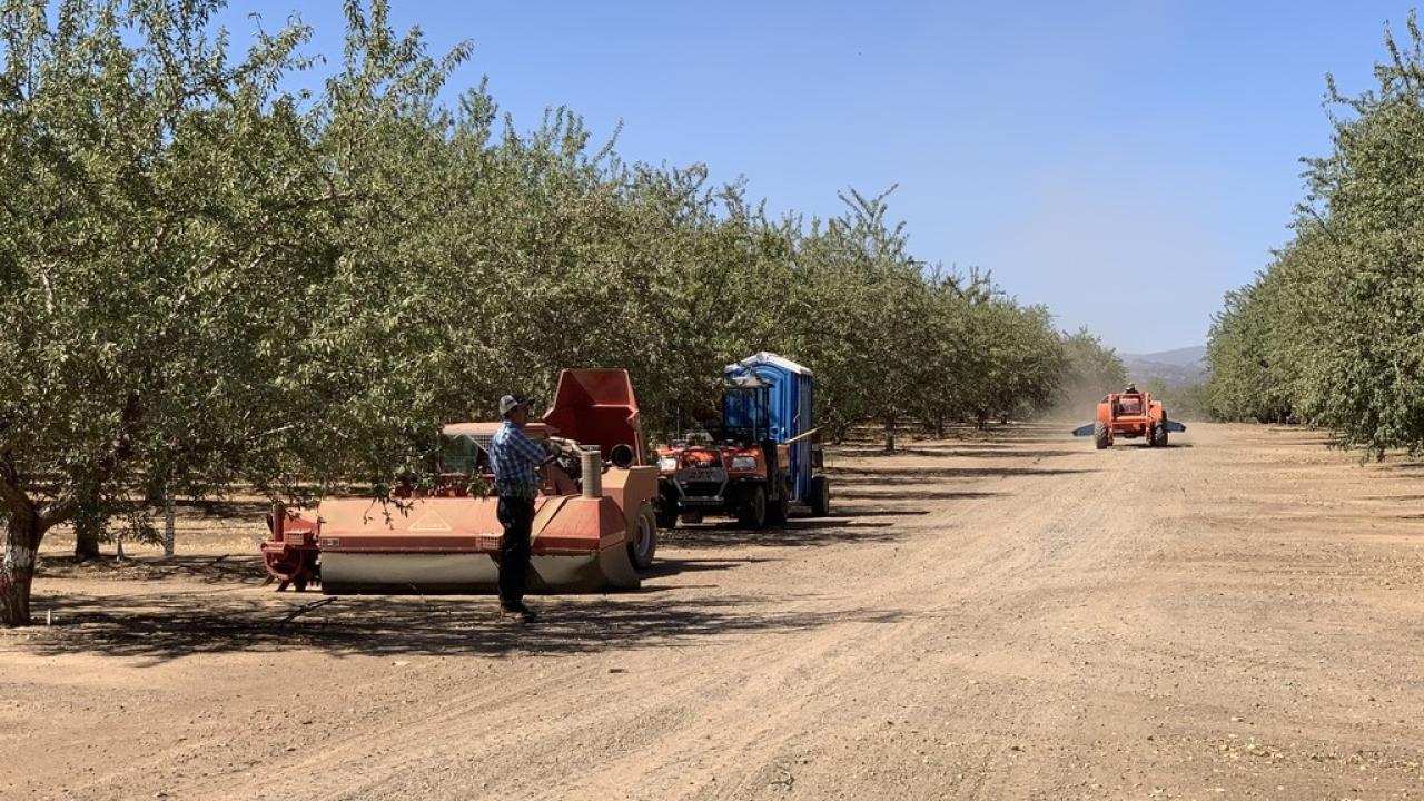 After the almonds in this orchard are harvested, they must properly dry and be stored before reaching consumers. Irwin Donis-González and his lab help farmers perfect these postharvest techniques. Photo courtesy of Irwin Donis-González. uc davis biological agricultural engineering postharvest irwin donis gonzalez farm fork