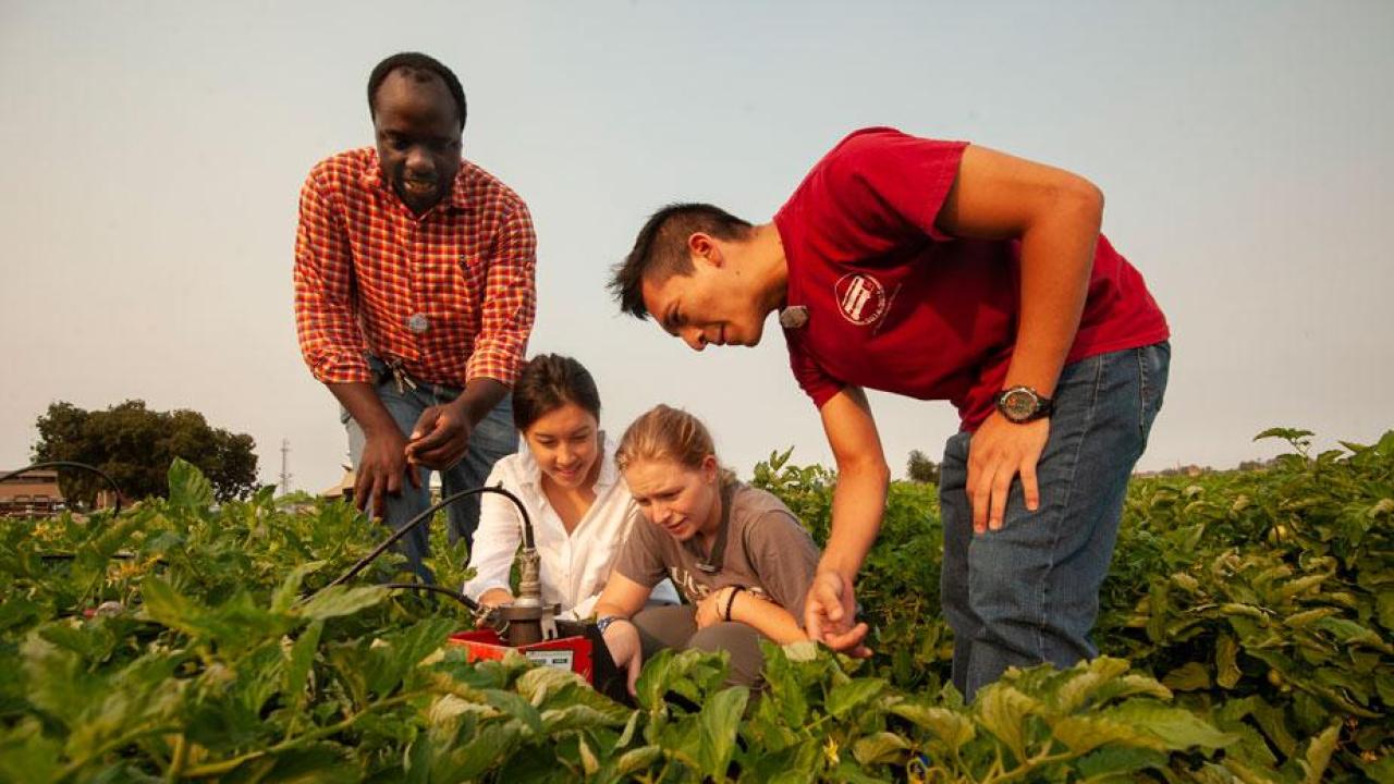 Isaya Kisseka with Students Working on Irrigation at UC Davis in Biological and Agricultural Engineering