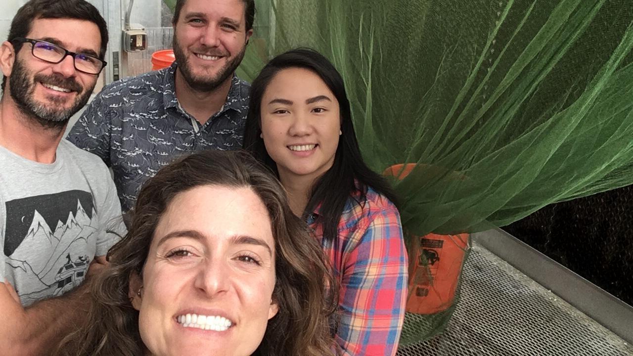 The BioMilitus team. From left to right, BAE assistant professional researcher Jesús Fernández-Bayo, entomology Ph.D. student Trevor Fowles, biological systems engineering (BSE) M.S. alumna Lydia Palma and BSE Ph.D. student Ferisca Putri. uc davis biological agricultural engineering startup larva organic waste biomilitus