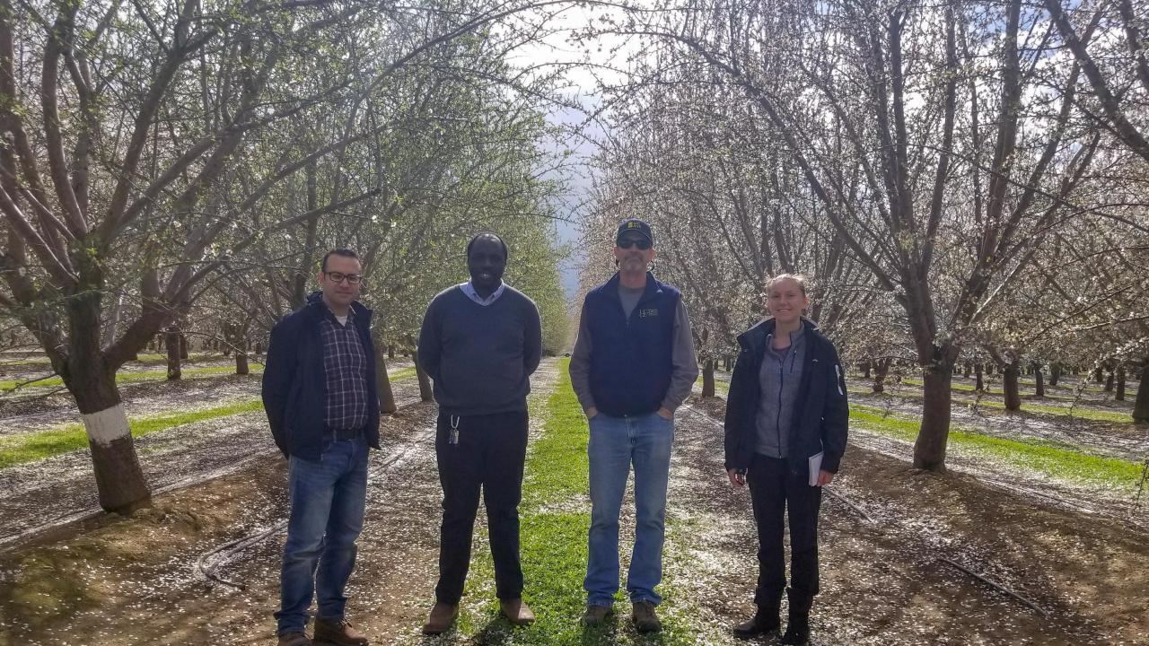 From left to right, Andre Daccache, Isaya Kisekka, Franz Niederholzer, and Kelley Dreschsler