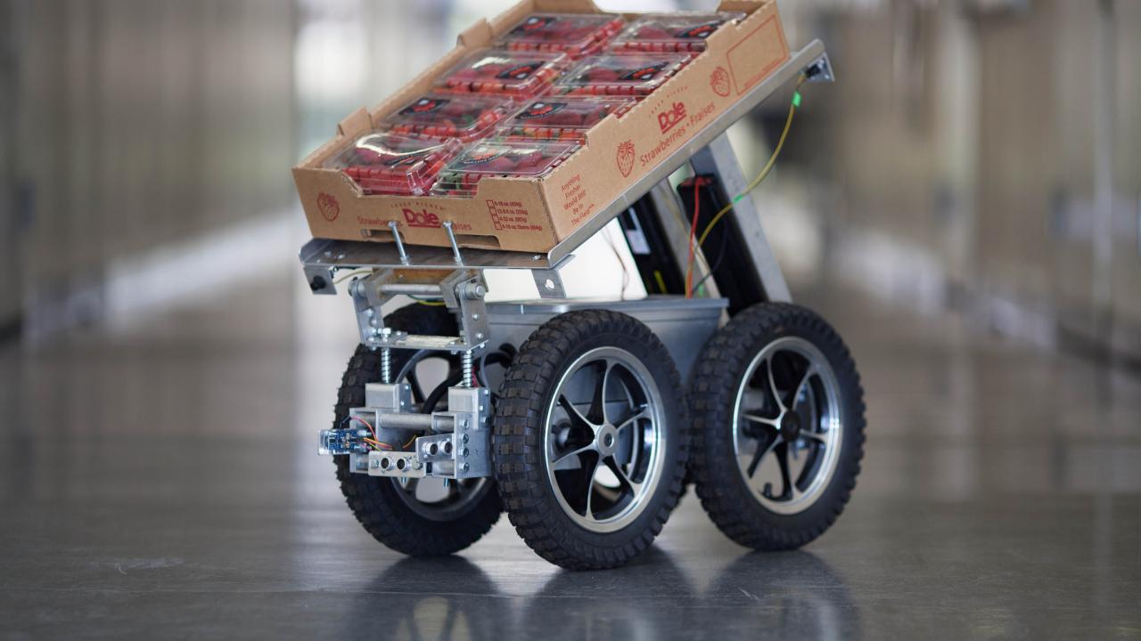 FRAIL-Bot Strawberry Harvester