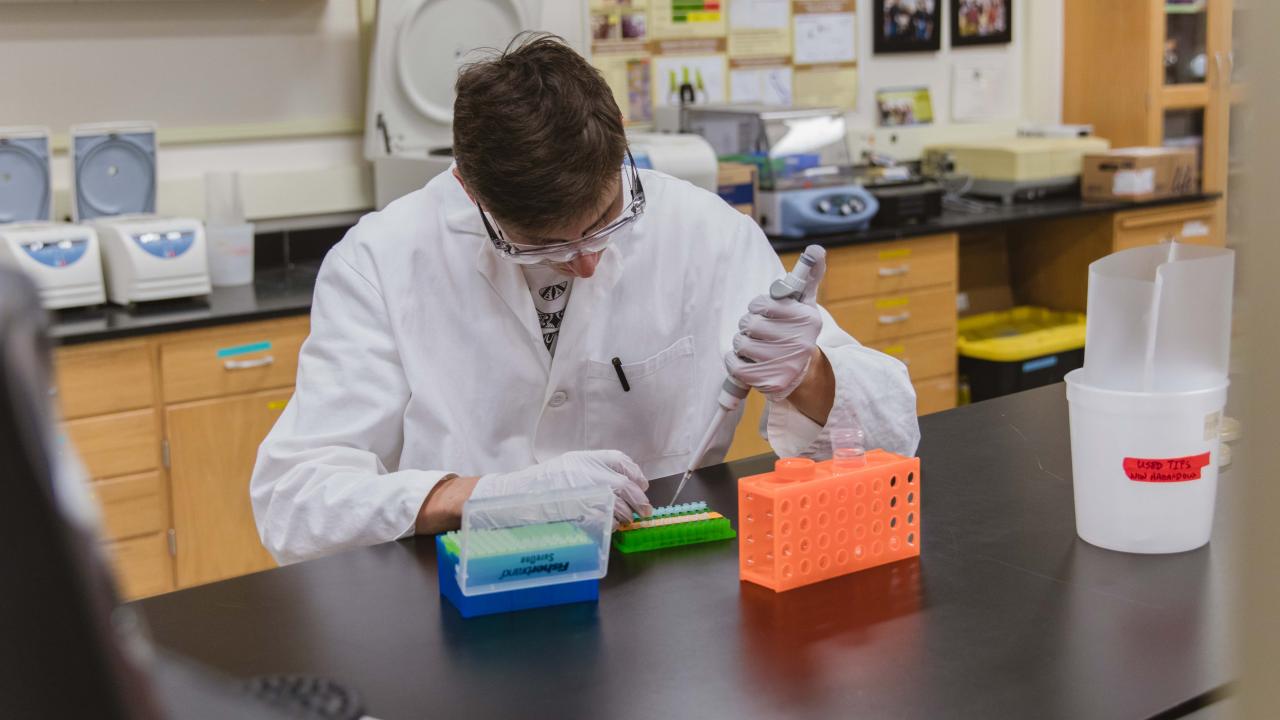 BioInnovation Group and Biological and Agricultural Engineering