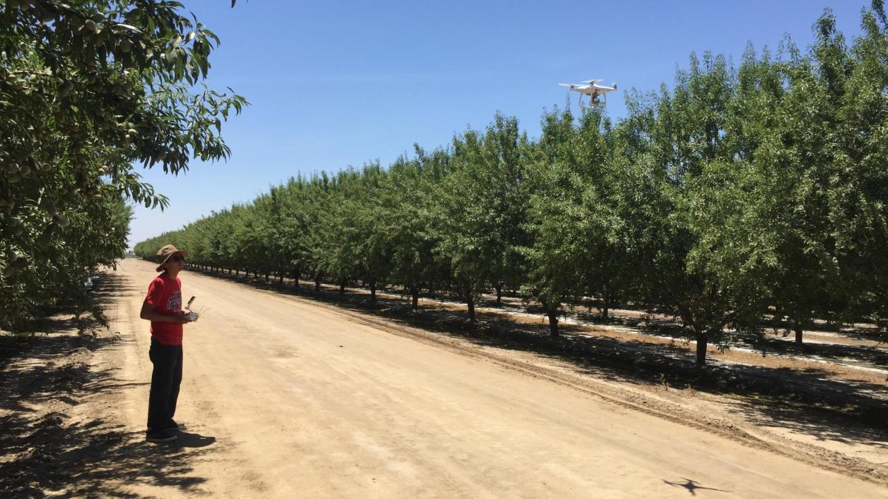 Person stands in a field of trees operating a drone