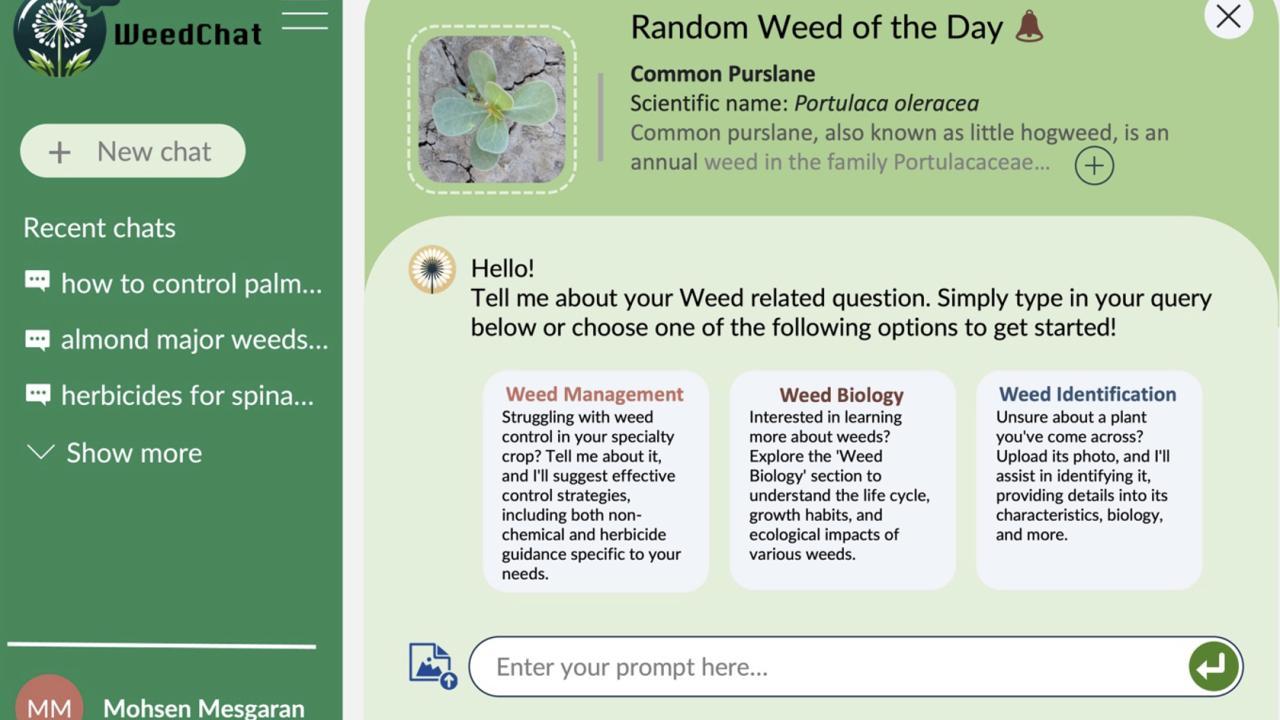 WeedChat Mockup