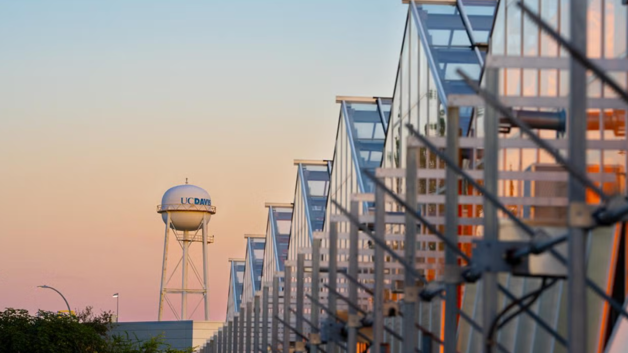 UC Davis watertower and greenhouses