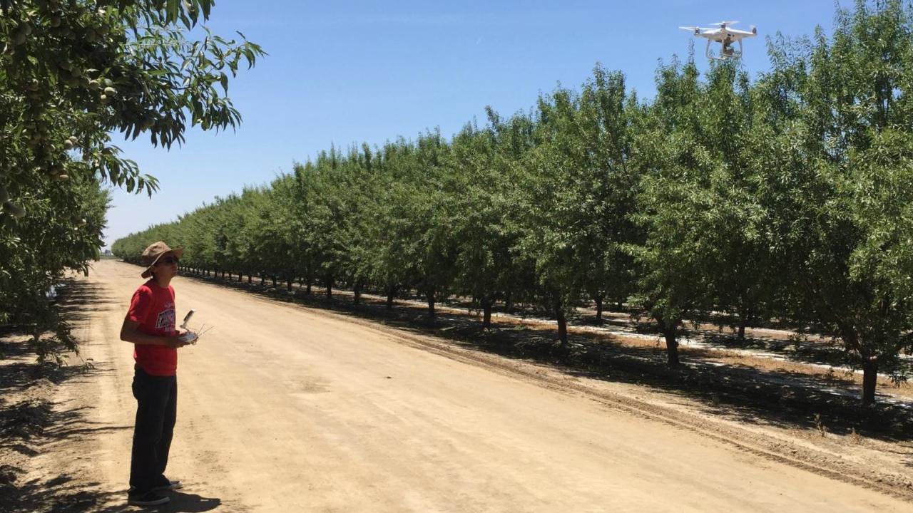 uc davis biological agricultural engineering digital agriculture drones sensing mechanization alireza pourreza