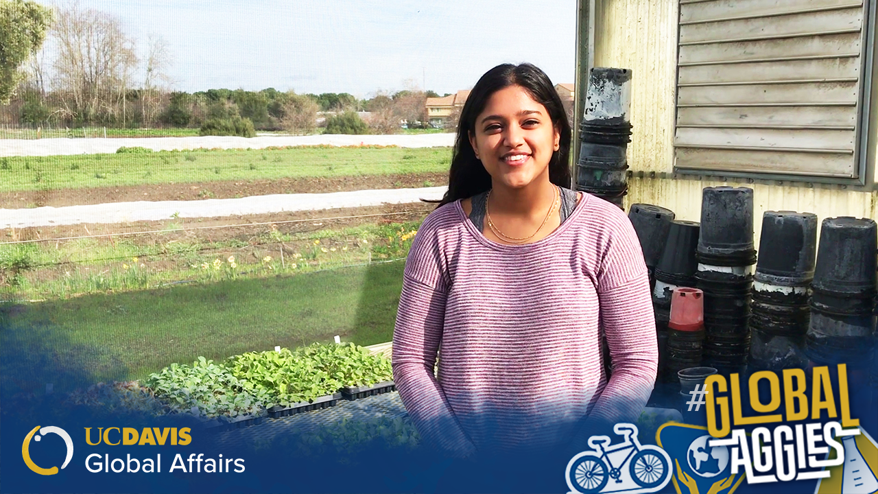 uc davis biological agricultural engineering nisha marwaha alumni global affairs