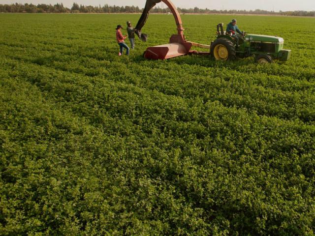 A tractor and farm crew in a field