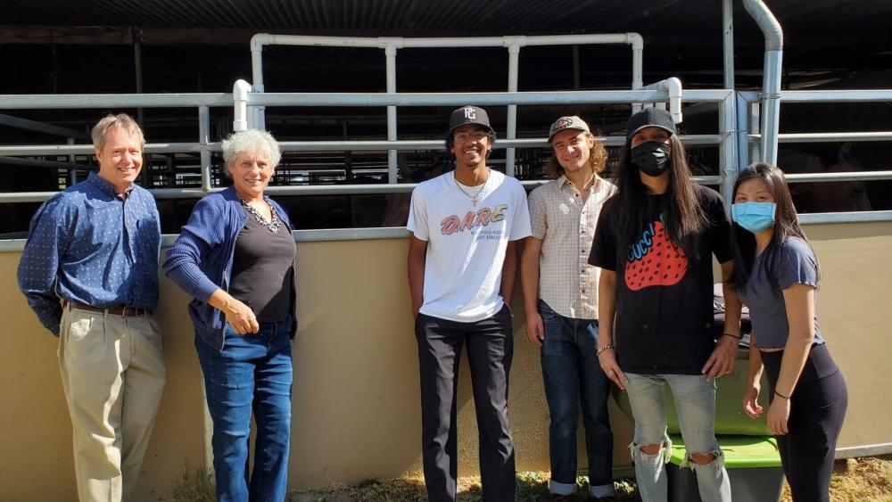 uc davis biological agricultural engineering horse enrichment music