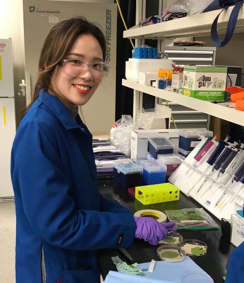 Jiyoon Yi dressed in PPE in lab handling leafy greens samples