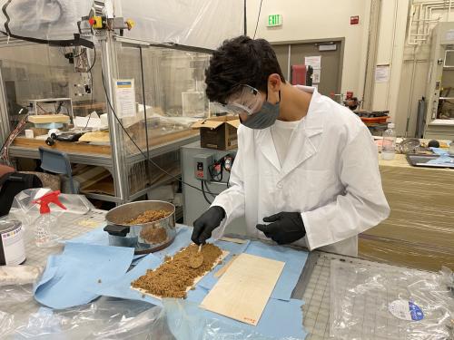 mycelium mushroom mucoremediation nitin nitin la saponara uc davis