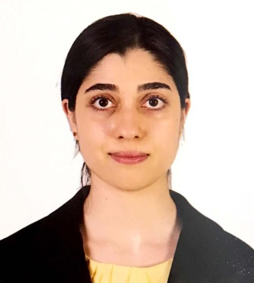 Photo of Parastoo Farajpoor