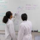 Undergraduates in Biolgoical and Agricultural Engineering