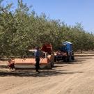 uc davis biological agricultural engineering postharvest irwin donis gonzalez farm fork