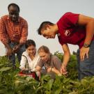 uc davis irrigated agricultural water center usda isaya kisekka biological agricultural engineering