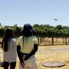 People look out onto an orchard as a drone takes flight