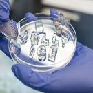 A petri dish with jelly ice that spells its name, being held by gloved hands
