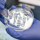 A petri dish with jelly ice that spells its name, being held by gloved hands