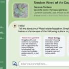 WeedChat Mockup