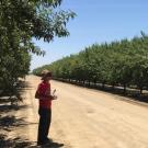 uc davis biological agricultural engineering digital agriculture drones sensing mechanization alireza pourreza