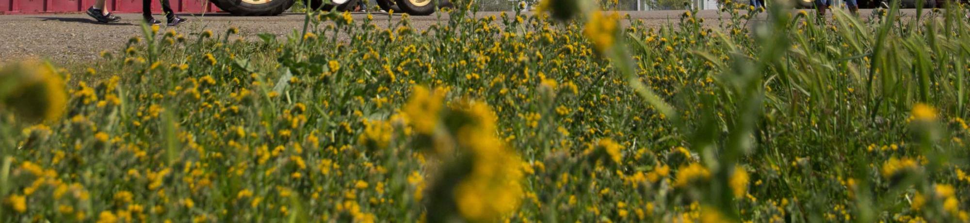 Applied Biological Systems Technology ABT at UC Davis in Biological and Agricultural Engineering