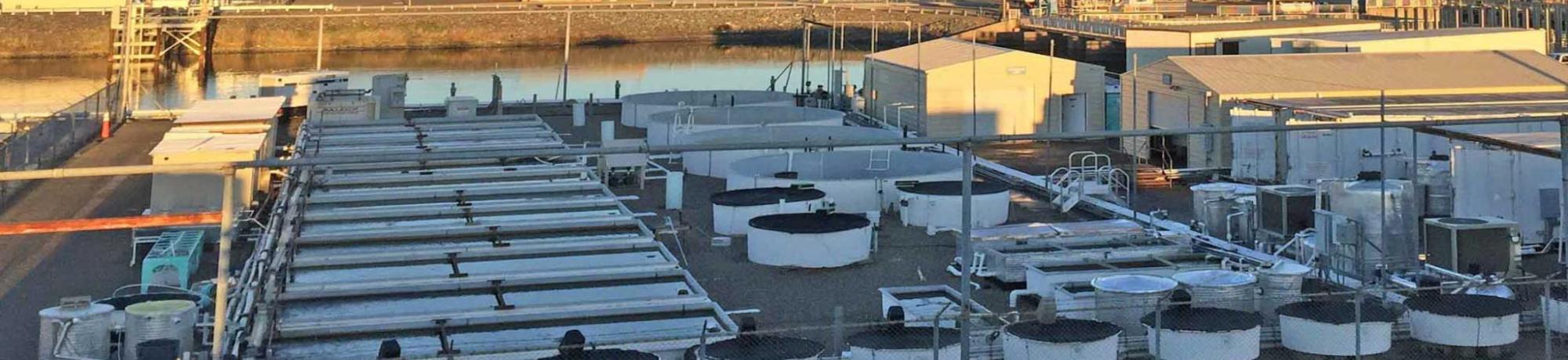 Fish Conservation and Culture Laboratory (FCCL) UC Davis Biological and Agricultural Engineering