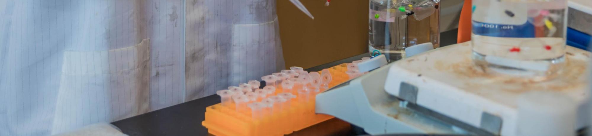 Who are Biological Systems Engineers Biological and Agricultural Engineering UC Davis Biotech food engineering agricultural and natural resources robitics sensors